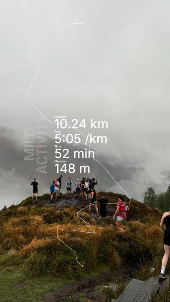 Trail run overlay preview in the editor